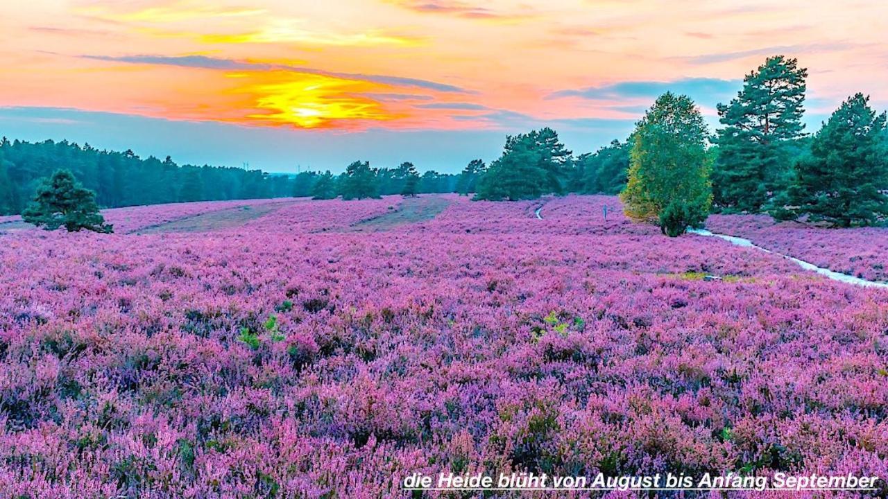 Ferienhaus Luneburger Heide Eschede Екстериор снимка